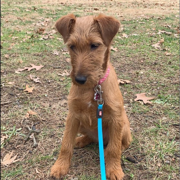 Meet your Posher, Simone - Picture 1 of 1